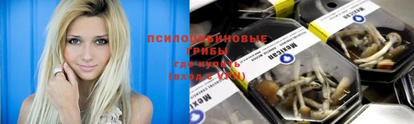 apvp Наволоки