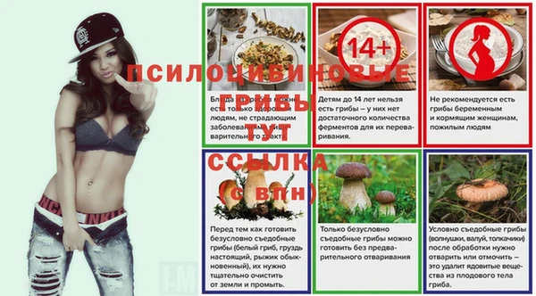 mix Надым