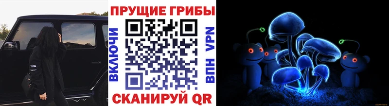 Псилоцибиновые грибы GOLDEN TEACHER Темников